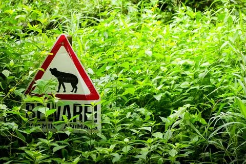 Be ware Sign in between high grass with hayena on it Stockfoto's
