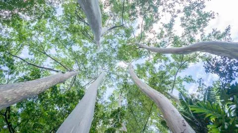 Beach-00523 스톡 사진