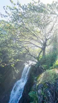 Beach-00575 스톡 사진