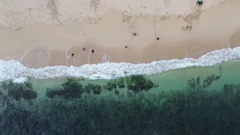 Beach 1 00003192 Stock Footage 319619786