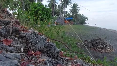 Beach (1) Video stock 276693785