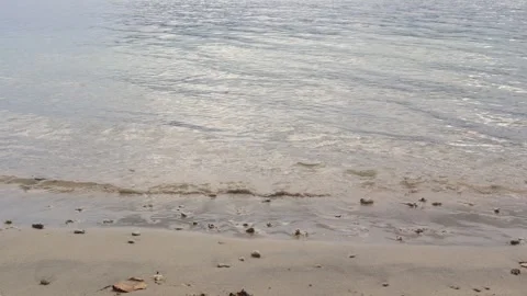 The beach (1) Stock Footage 308609017