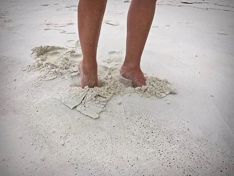 Beach-1 Stock Photos