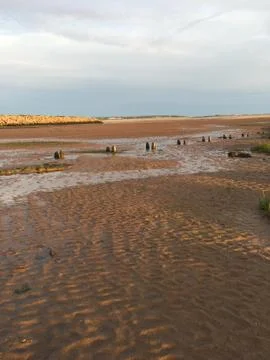 Beach 1 Stock Photos