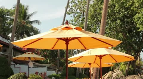 Beach 16 Видео 10991926