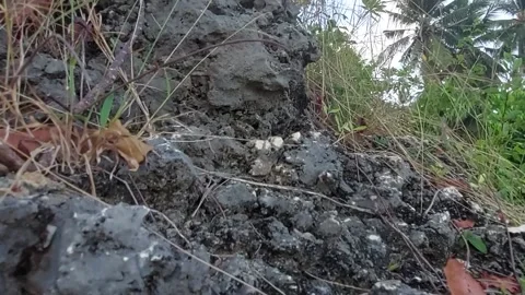 Beach (2) Video stock 276693779