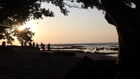 On the beach (2) Stock-Footage 296730043