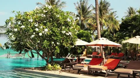 Beach 24 Video stock 11079483