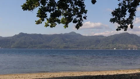 The beach (3) Stock Footage 308609245