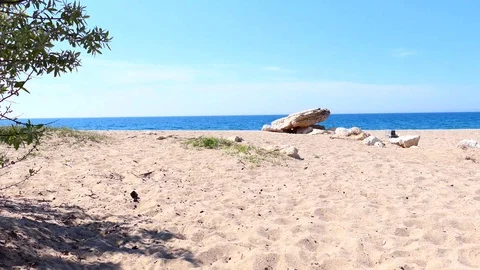 On the beach 4 02.05.2020 Vidéo 129567286