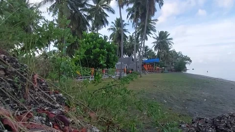 Beach (4) Stock Footage 276693728