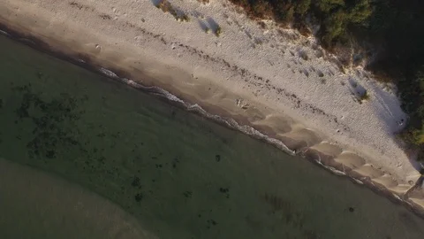 Beach 4k Vertical Drone Aerial Rising View Sweden Nature White Sand Stock Footage 98793536