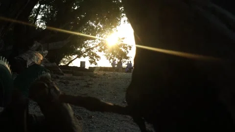 On the beach (6) Video stock 296730805