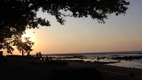 On the beach (7) Video stock 296731300