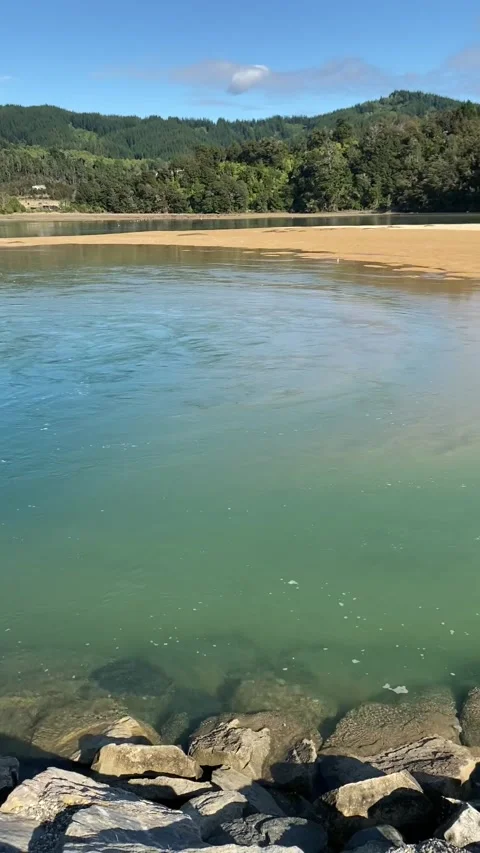 Beach in Abel Tasman Видео 343952248
