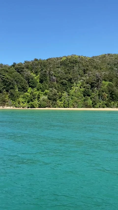 Beach in Abel Tasman Видео 343952272