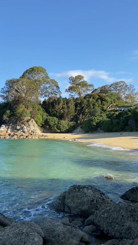 Beach in Abel Tasman Stock Footage 343952351