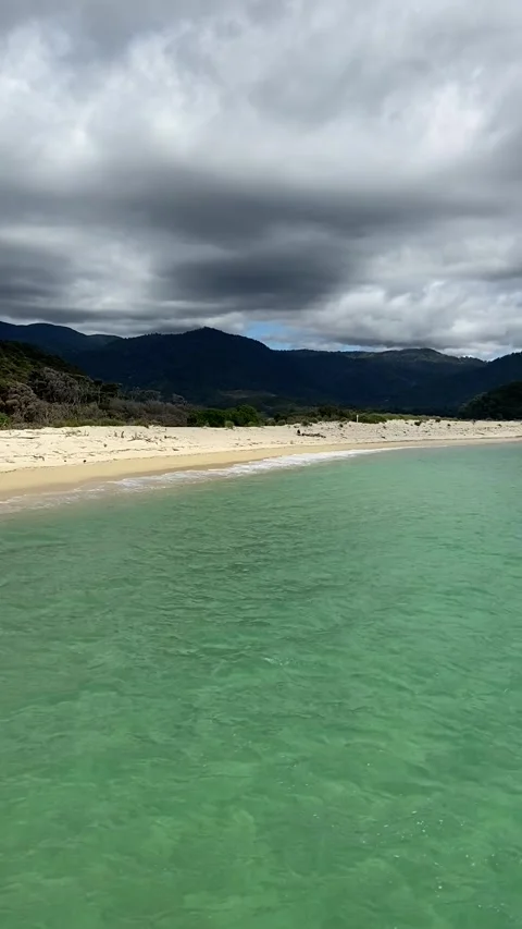 Beach in Abel Tasman Vídeo Stock 343952390