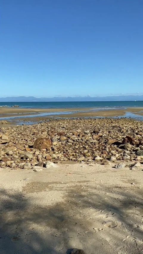 Beach in Abel Tasman Vídeo Stock 343952829
