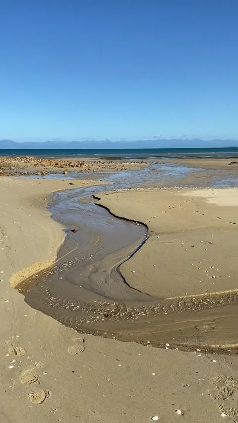 Beach in Abel Tasman Vídeo Stock 343952833