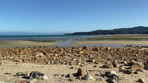Beach in Abel Tasman Vidéo 343952845