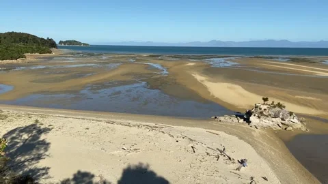 Beach in Abel Tasman Vídeo Stock 343952859
