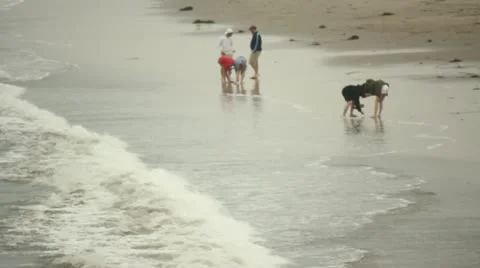Beach from Above Stock Footage 11443555