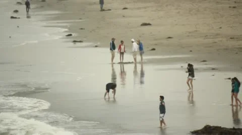 Beach from Above Stock Footage 11443759