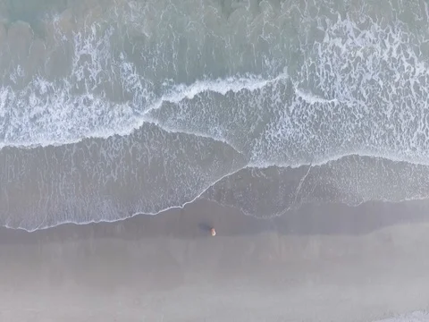 Beach from Above 動画素材 77429027