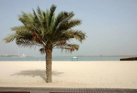 Beach abu dhabi Stock Photos