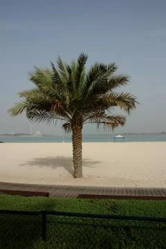 Beach abu dhabi Stock Photos