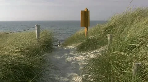 Beach Access on Darss Peninsula - Baltic Sea, Northern Germany Stock-Footage 12554980
