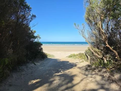 Beach Access Path Opening to Turquoise Ocean Stock Photos