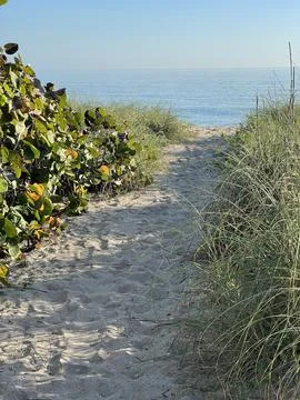 Beach Access. Stock Photos