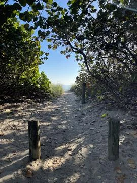 Beach Access. Stock Photos