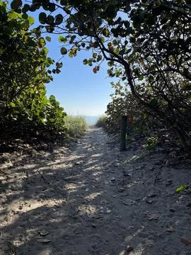 Beach Access. Stock Photos