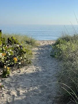 Beach Access. Stock Photos