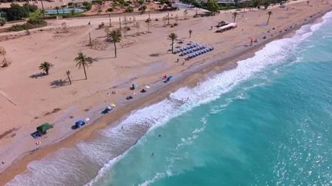 Beach activity with people enjoying sunlight and water near palm trees in a Stock Footage 342788614