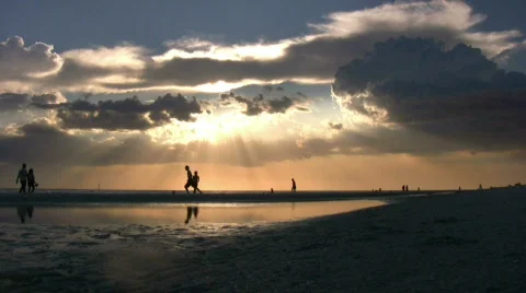 Beach Activity at Sunset 動画素材 773205