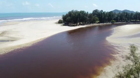 Beach Aerial View Stock Footage 146275875