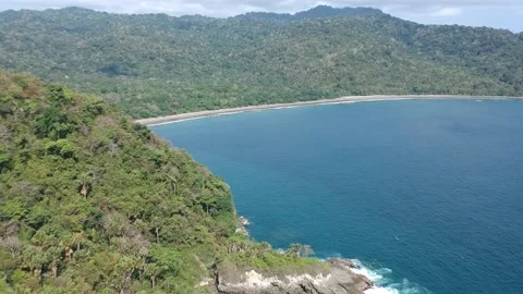 Beach Aerial View Stock Footage 219000647