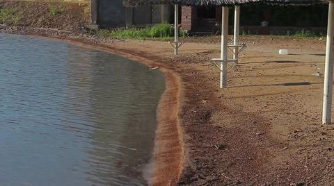 Beach after the storm, waves. Video stock 63174083