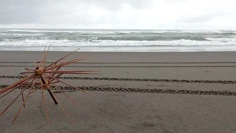 Beach Afternoon Stock Footage 214178113