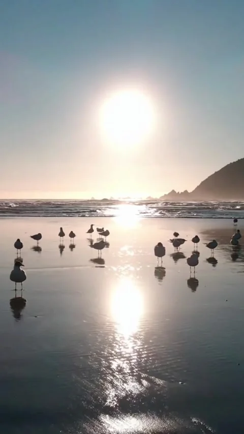 Beach in the afternoon Stock-Footage 220622282