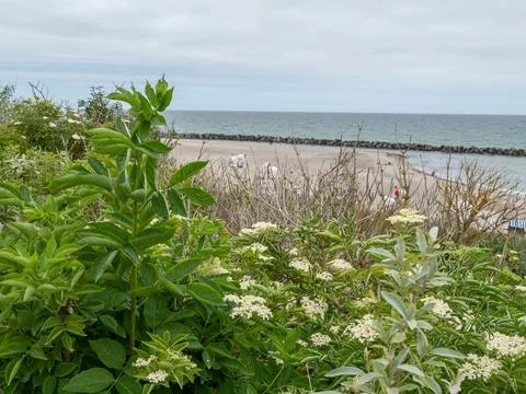 The beach of Ahrenshoop Stock Photos
