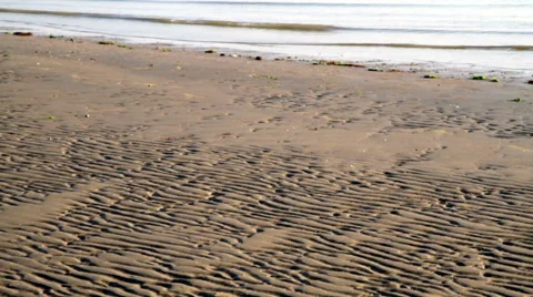 Beach with algae and low tide Stock Footage 65117392