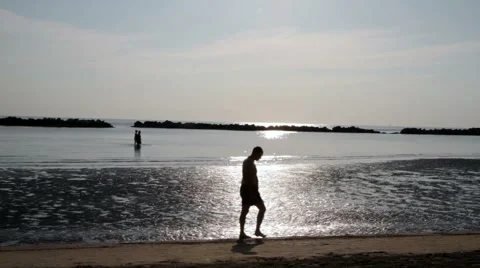 Beach with algae and low tide Stock Footage 65117418