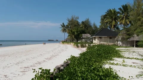 Beach with Algae and Tropical Coastline with Hotels at Low Tide Zanzibar, Pingwe Stock Footage 152490176