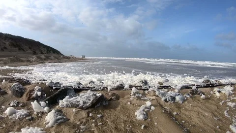 Beach with algae foam, nature experience storm Stock Footage 118228739