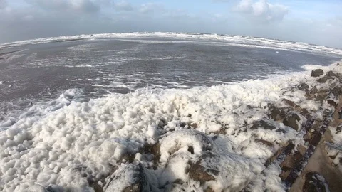 Beach with algae foam, nature experience storm Stock Footage 118228797